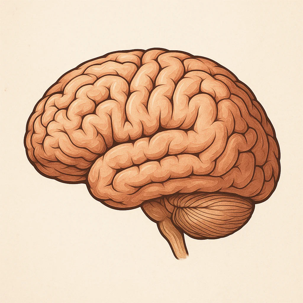 A Deep Dive into Trauma Online Workshop